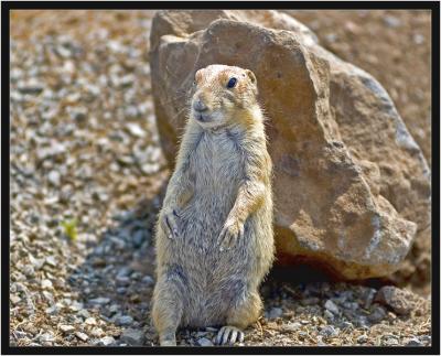 Posing by a rock