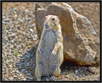 Posing by a rock