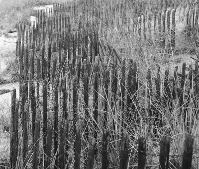 Fence II