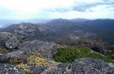 bn View South From Mt Kelly.jpg