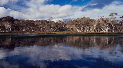 bt Lake at Afternoon.jpg