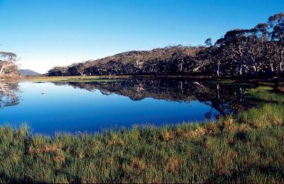 bw Lake at Dawn 2.jpg