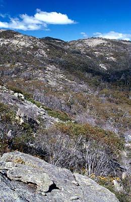 cc View Accross To Upper Upper Cotter Catchment.jpg