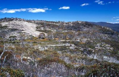 ci Looking West Accross The Upper Upper Cotter.jpg