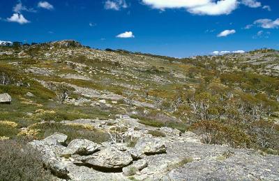 ck Upper Cotter Valley And Lunch Rock.jpg