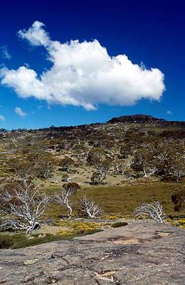 dc West Accross Upper Cotter to Lunch Rock.jpg