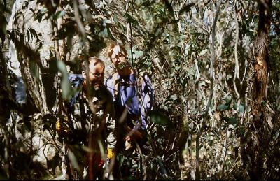 dj Tim And Jonno In Scrub Descending Mt Gudgenby.jpg