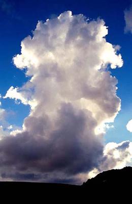 bf Growing Cumulus Over W Twynam Camp, Strzelecki Ck.jpg