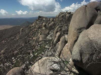 784 Massive tors on Mt Burbidge and beyond.jpg