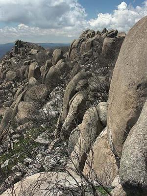 785 Massive tors on Burbidge vertical .jpg