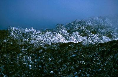 Snowy Brindabella Ridge.jpg