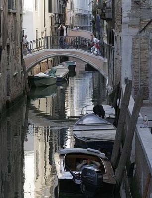 Home Mechanic, Venice Style