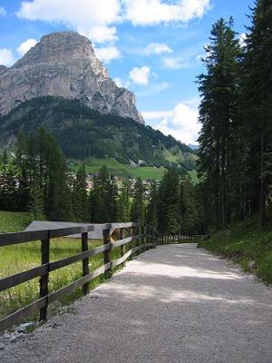 A track near campsite