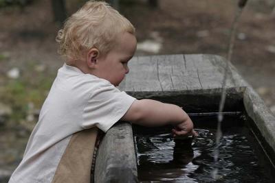 S2 at water trough