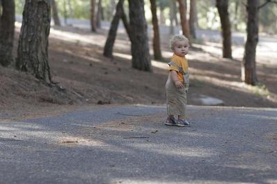 Oscar running down the hill - again (for hundredth time!)