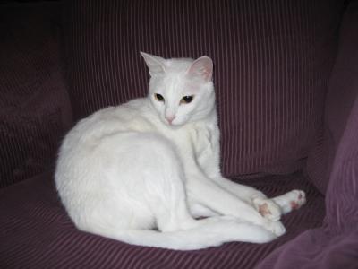 5th Nov 2005, Lady