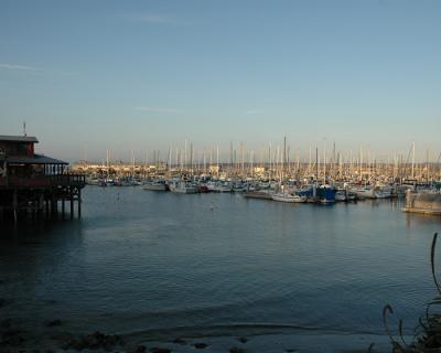 Monterey002.jpg