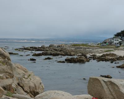 Monterey019.jpg