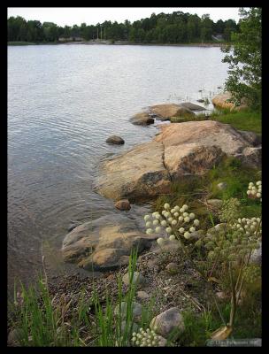 v3/98/565298/3/46902576.rauma_21.jpg