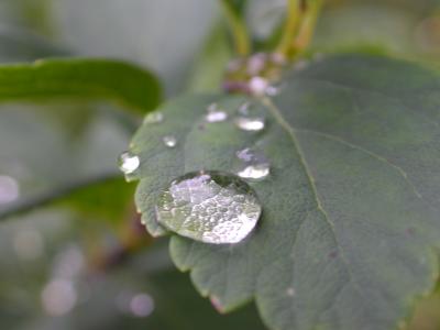 DSCN0800.JPG