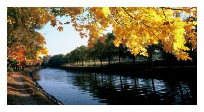 autumn_leaves