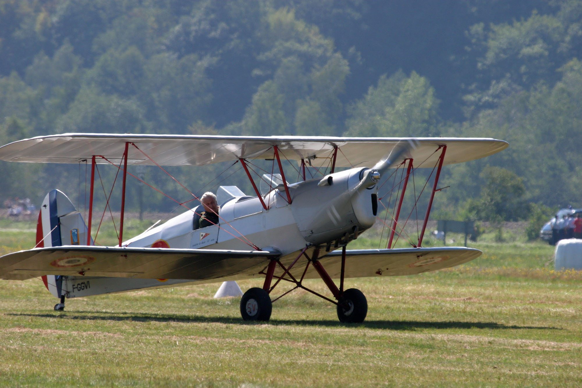 Stampe