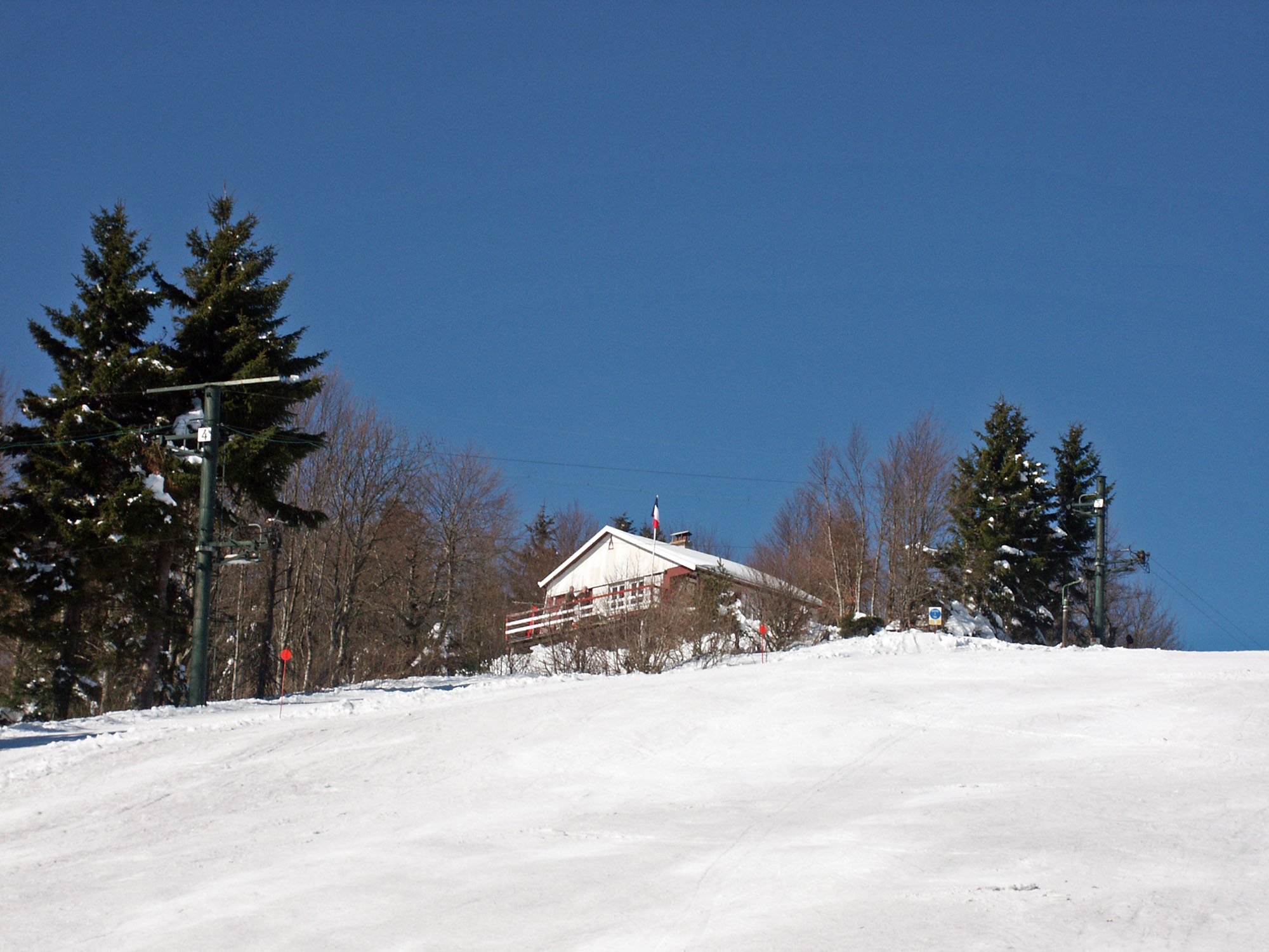 La Mannheimer