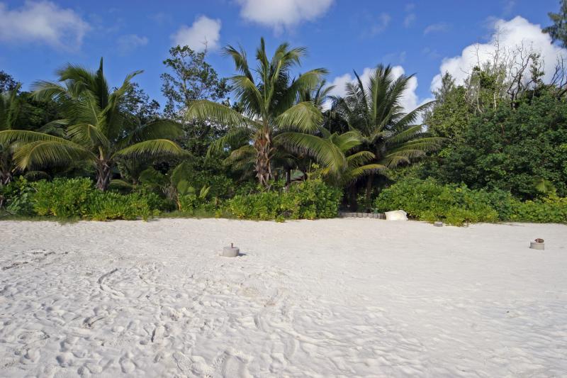 Plage de la Cote dOr