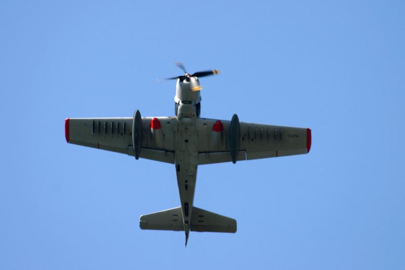 Skyraider