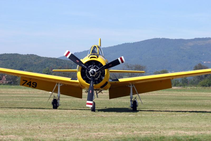 T 28