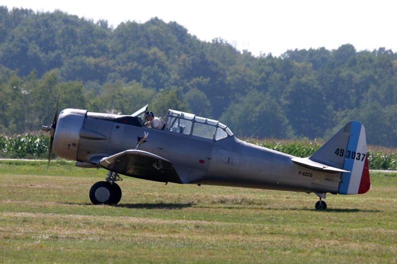 T 6