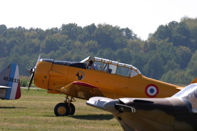 T 6