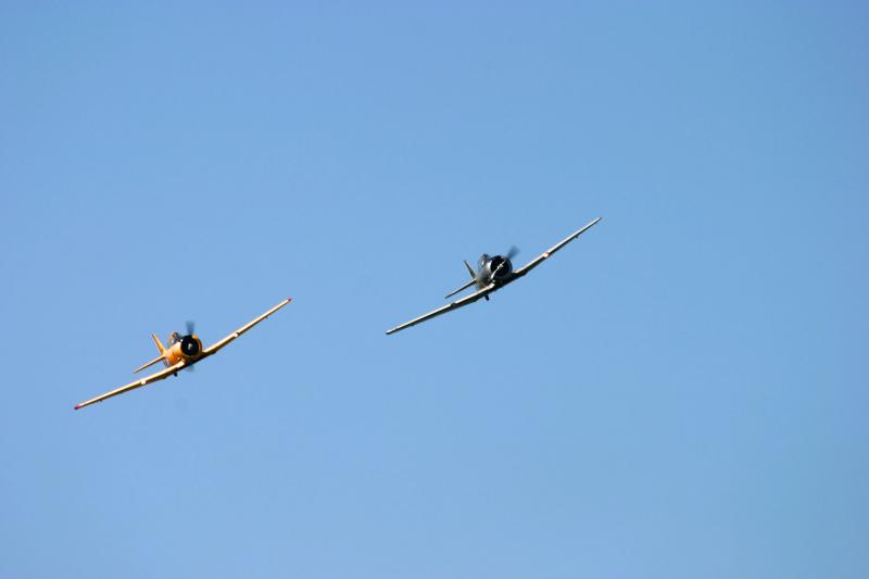 T 6