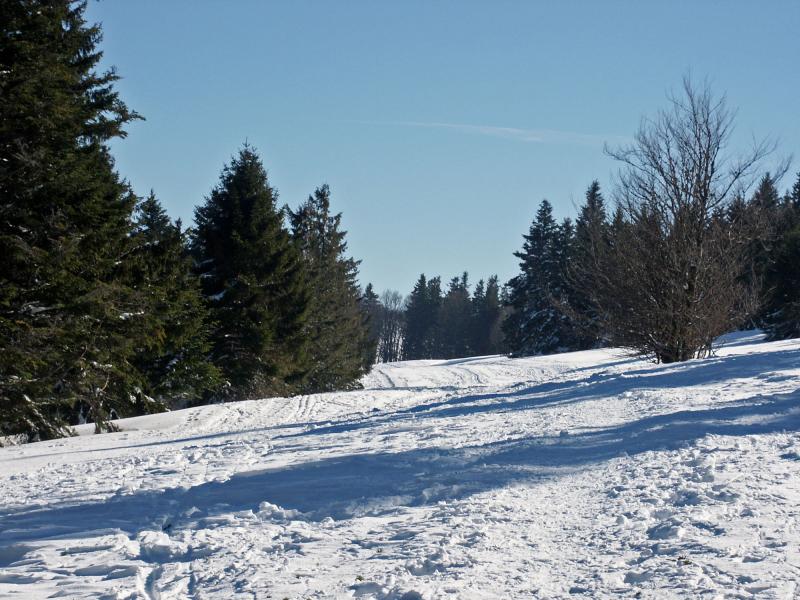 Les Plaines