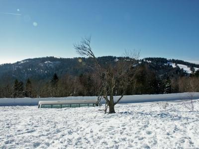 Le Langenberg