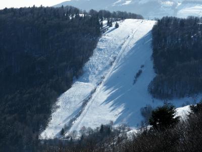 Le Langenberg