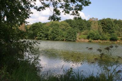 v3/98/590598/3/49681640.territoirePhoto10.jpg