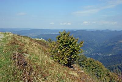 La chane des Vosges