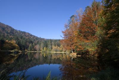 L'Etang du Petit-Haut