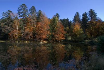 L'Etang du Petit-Haut