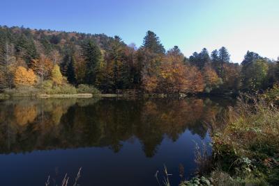 L'Etang du Petit-Haut