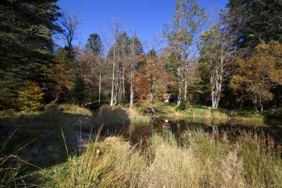 L'Etang du Petit-Haut