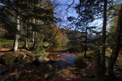 L'Etang du Petit-Haut