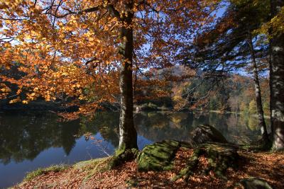 L'Etang du Petit-Haut