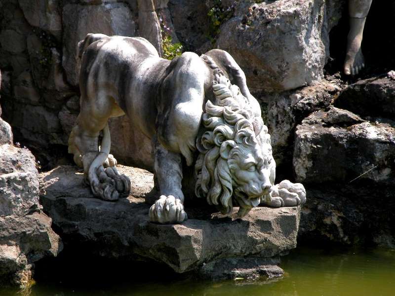Stone Lion