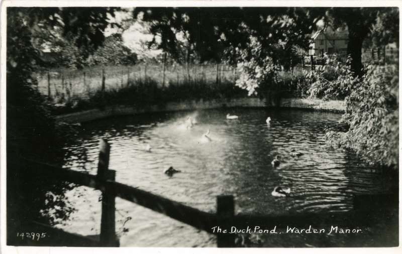 Duck Pond, Warden Manor