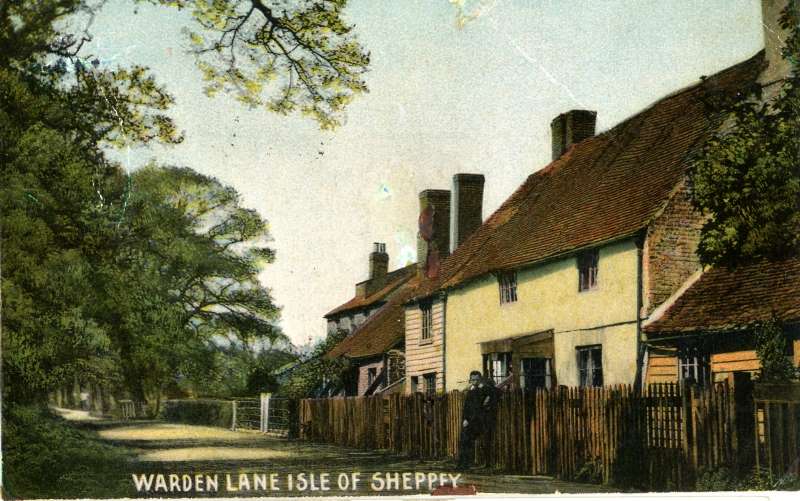 Warden Lane