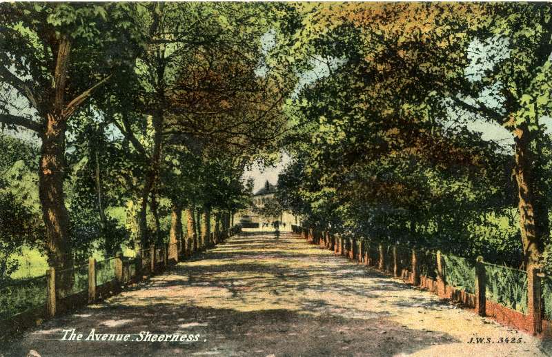 The Avenue