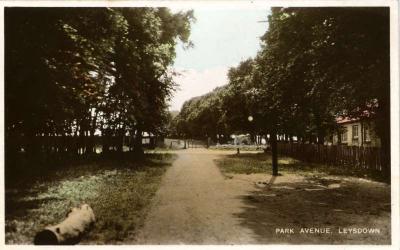 Park Avenue, Leysdown