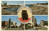 Good Luck from Sheerness